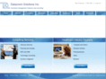 datazoomsolutions.com