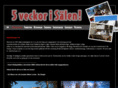 delagarskap.com