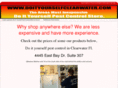 doityourselfclearwater.com
