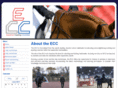 equestriancoaching.com