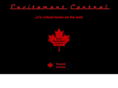 excitementcentral.net