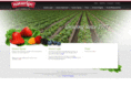 naturipeberrygrowers.com