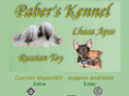 pabers.it