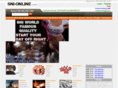 sni-online.com