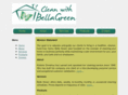 cleanwithbellagreen.com