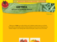 gethia.com