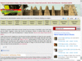 viewghana.net