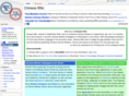chinese-wiki.com