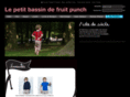 lepetitbassin.com