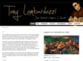 tonylombardozzi.com