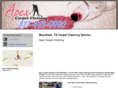 apexcarpetcleaningtx.com
