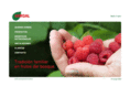 gergalberries.com