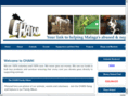chaininspain.com