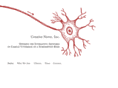 creativenerve.com