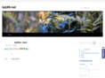 lab99.net