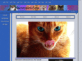 meowzalot.com