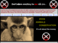 pandawizard.com