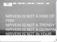rubin-stein.com