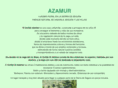 azamur.es