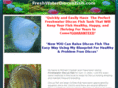 freshwaterdiscusfish.com