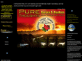 purethoughts.info