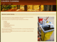 calviewcleaning.com
