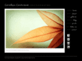 carolyncochrane.com
