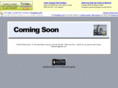 thebluemule.com
