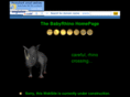 baby-rhino.com
