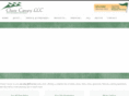 chasecanopy.com