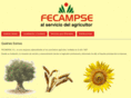 fecampse.com