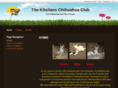 kitschiclub.com