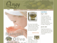 angysoap.com