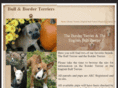 borderandbullterriers.com