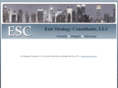exitstrategyconsultants.com