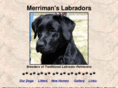 merrimanlabradors.com