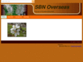 sbnoverseas.com