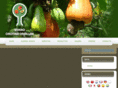 viverocavallini.com