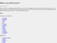 whatismydns.net