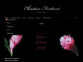 christinefontenot.com