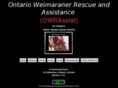 ontarioweimaranerrescue.com