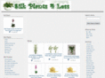 silkplants4less.com