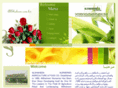 alshaheen.com.kw