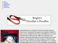 brightsdoodlesnpoodles.com