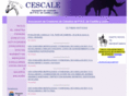 cescale.es