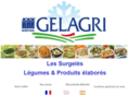 gelagri-industrial.es