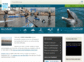 thebluemile.org