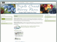 triplecreekberries.com