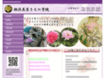 yokohamabiso.com