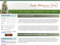 cashadvancetime.com